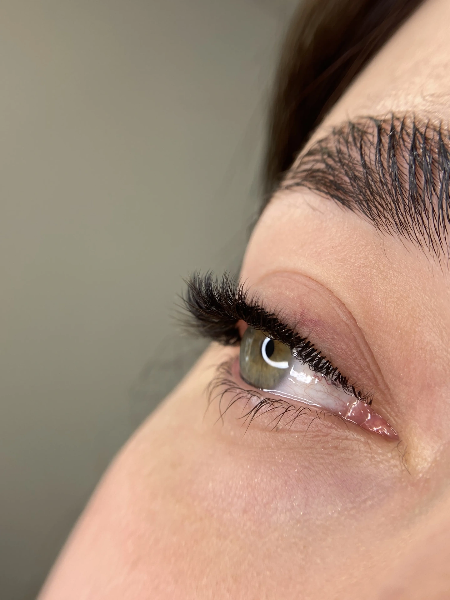 Volume Lashes